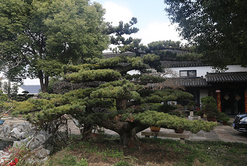 UV系列光固化一涂有色漆